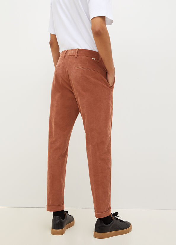 Men's Liu Jo Velvet Chinos Pants Brown | JQY-268401