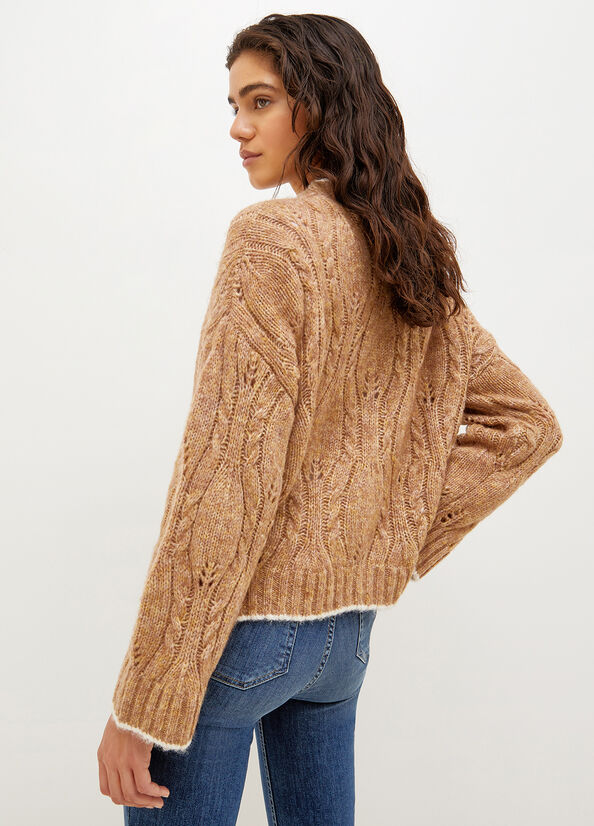 Women's Liu Jo Wool And Alpaca Cardigan Sweaters Brown | LIQ-048537