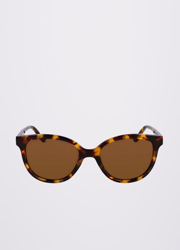 Women's Liu Jo Rectangular Sunglasses Brown | MZE-564278